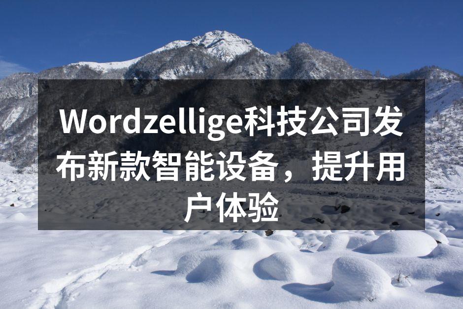 Wordzellige新款智能设备展示