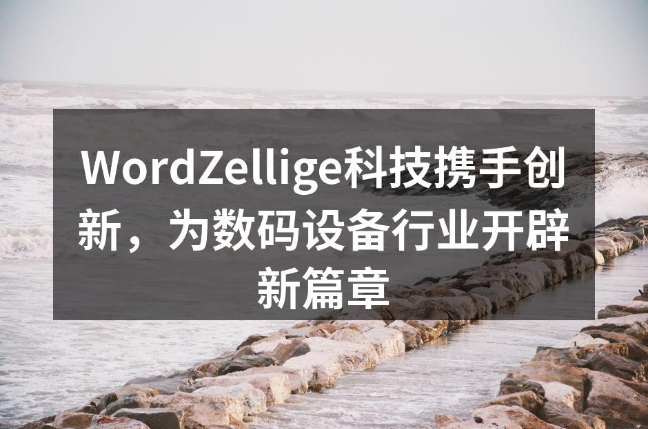 WordZellige最新发布会现场盛况