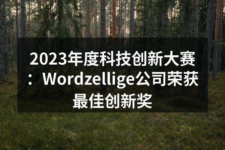 Wordzellige在大赛现场展示创新产品